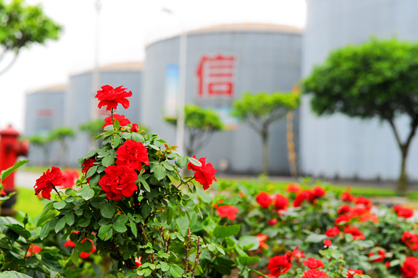 永祥廠區(qū)里，鮮花綻放_副本.jpg